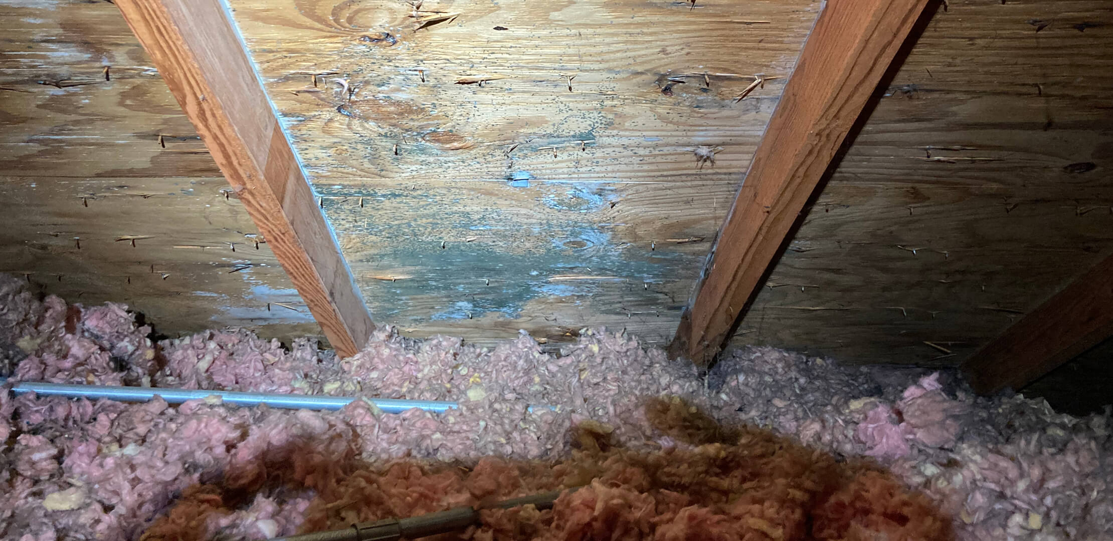 Mold on an attic ceiling