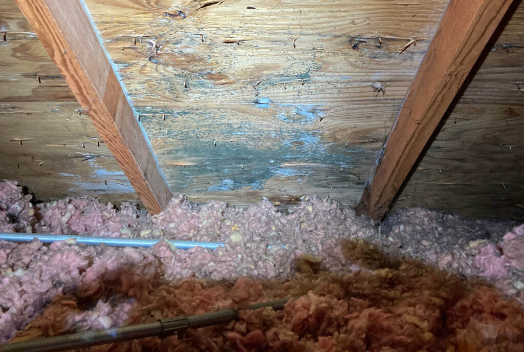 Attic with mold forming on the ceiling