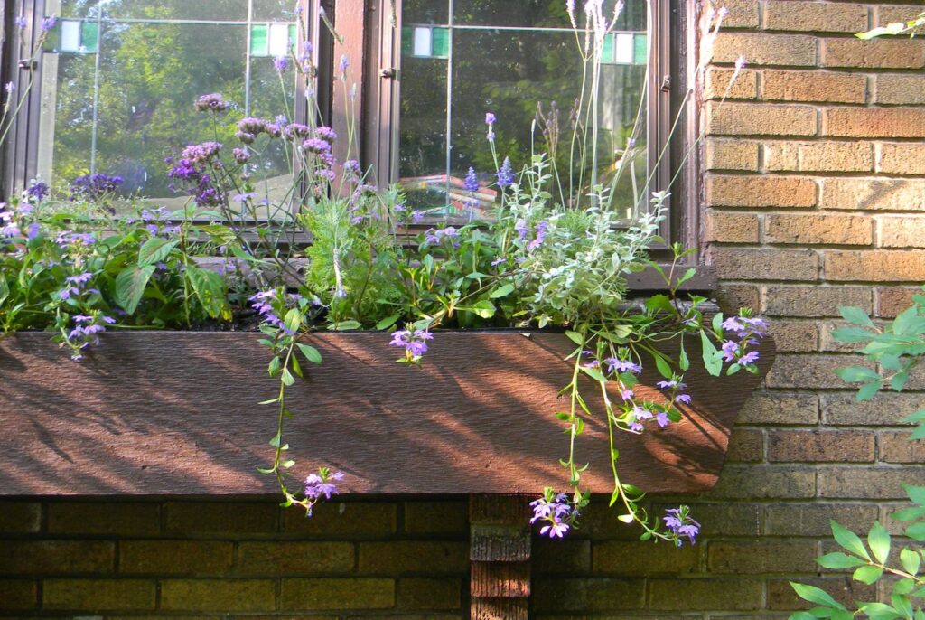 A wooden window box filled with purple flowers on a classic brick home