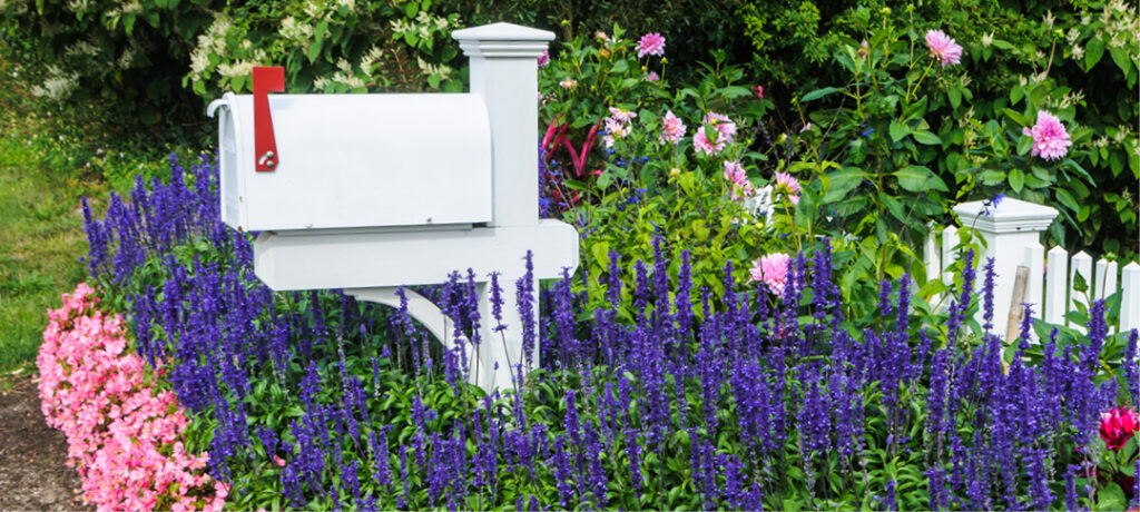 A crisp white mailbox with a red flag on a sturdy white post, surrounded by purple and pink flowers, with white picket fence with posts that match the design of the mailbox in the background, surrounded by green grass and shrubs.