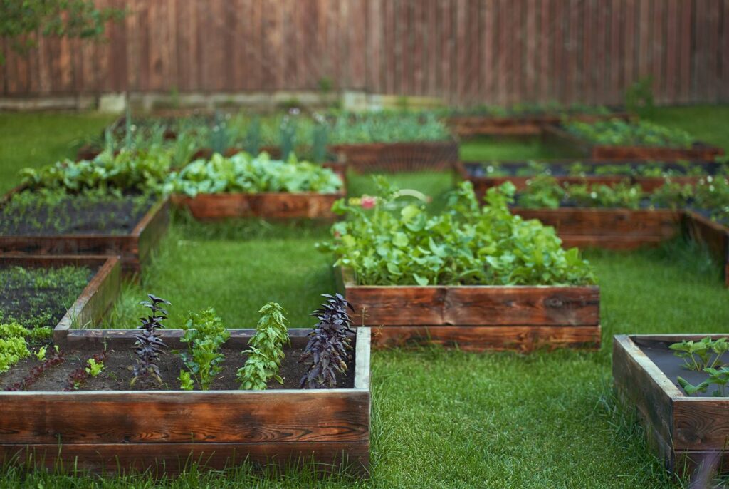 get dwell may 2026 home tip garden
