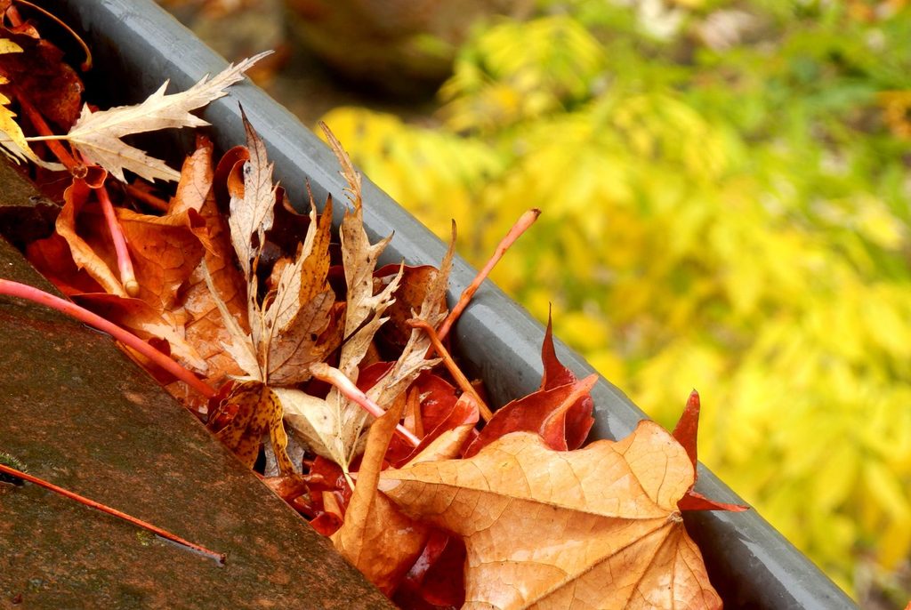 get dwell september 2026 home tips5